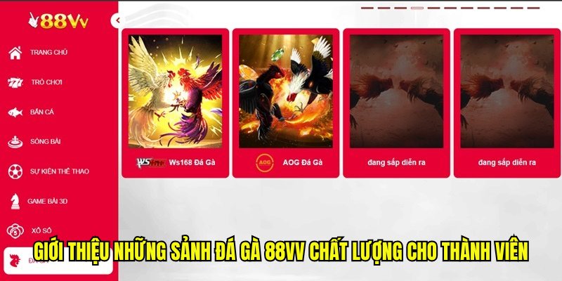 Giới thiệu những sảnh đá gà 88VV chất lượng cho thành viên