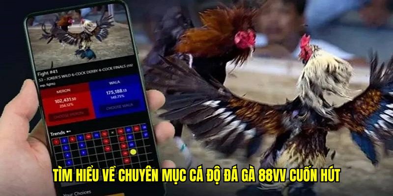 Tìm hiểu về chuyên mục cá độ đá gà 88VV cuốn hút