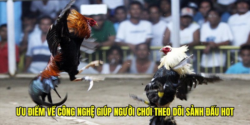 Ưu điểm về công nghệ giúp người chơi theo dõi sảnh đấu hot